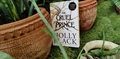 featured image thumbnail for post The Cruel Prince- Holly Black