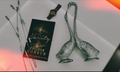 featured image thumbnail for post VERITY- By Colleen Hoover